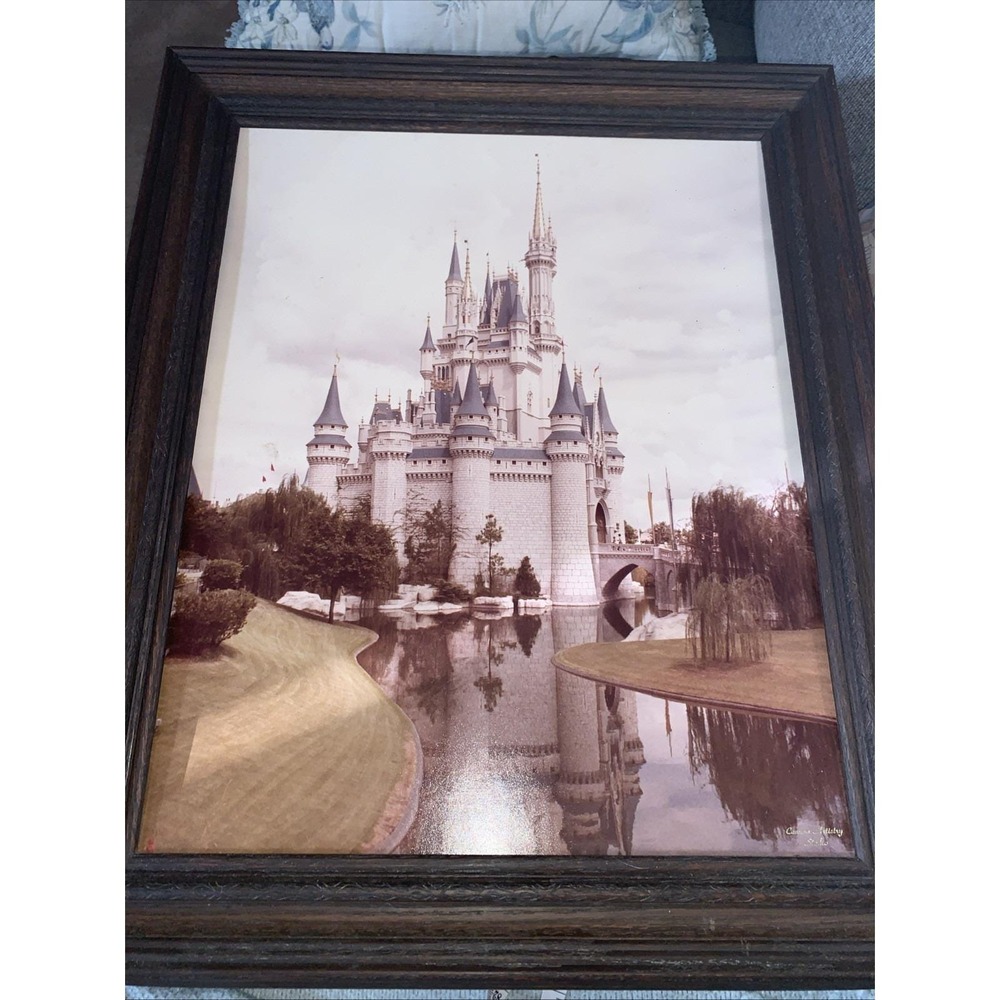 Vintage 1970s 24"x 20"Framed Photo of Disney World Cinderella Castle